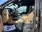 2024 Ford Super Duty F-350 SRW XL
