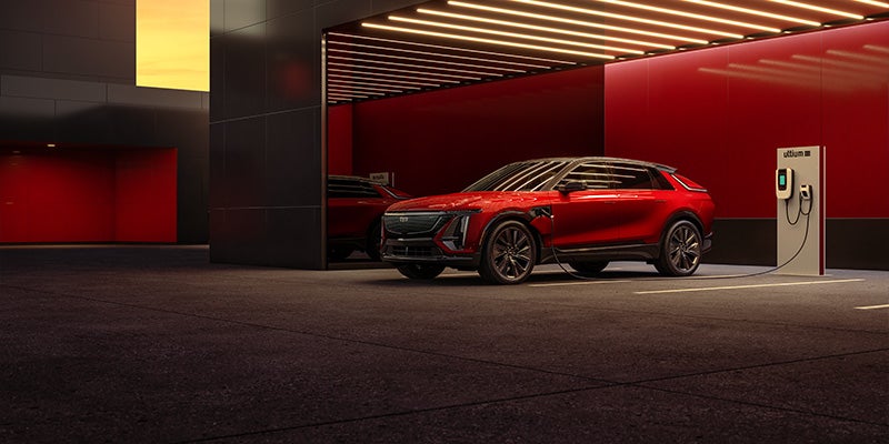 Courtesy Transportation